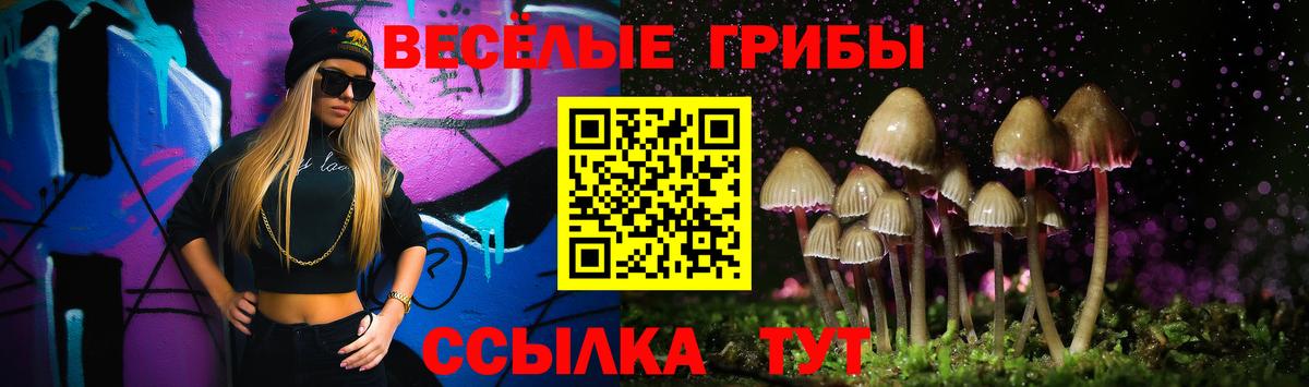 Псилоцибиновые грибы мухоморы  цены   Балтийск  Вход с VPN 