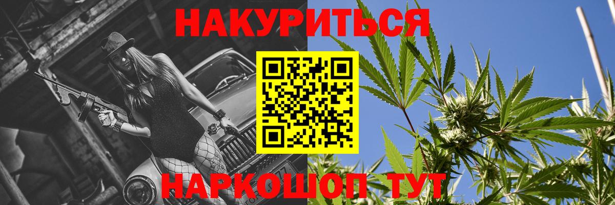 Марихуана сатива Балтийск